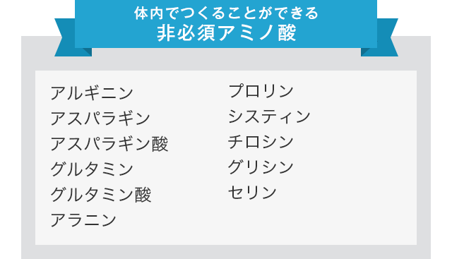 体内でつくることができる非必須アミノ酸 アルギニン アスパラギン アスパラギン酸 グルタミン グルタミン酸 アラニン プロリン システィン チロシン グリシン セリン