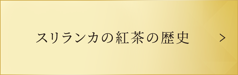 スリランカの紅茶の歴史