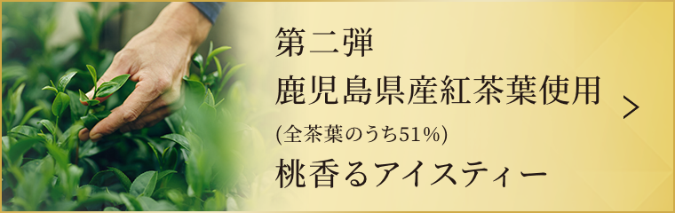 第二弾 鹿児島県産紅茶葉使用(全茶葉のうち51%) 桃香るアイスティー