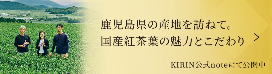 鹿児島県の産地を訪ねて。国産紅茶葉の魅力とこだわり KIRIN公式noteにて公開中