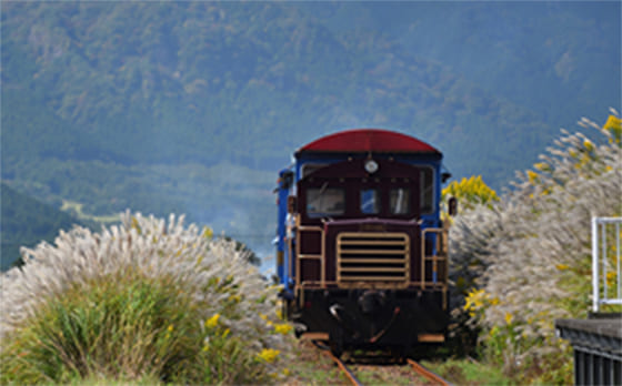 南阿蘇鉄道の写真