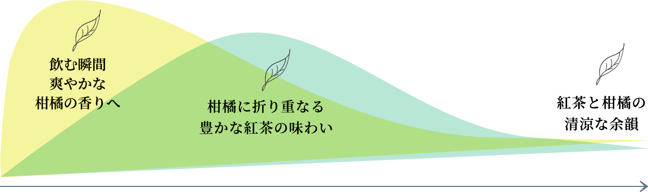 1：飲む瞬間爽やかな柑橘の香りへ 2：柑橘に折り重なる豊かな紅茶の味わい 3：紅茶と柑橘の清涼な余韻