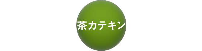 茶カテキン