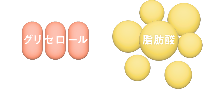 グリセロール 脂肪酸