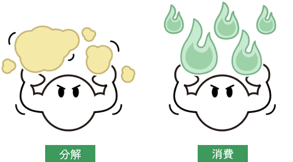 分解 消費