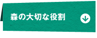 森の大切な役割