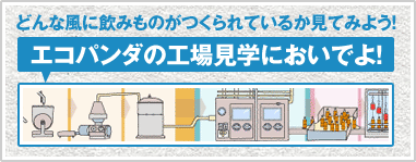 どんな風に飲みものがつくられているか見てみよう！エコパンダの工場見学においでよ！