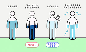 「塩分・水分補給」篇 25秒