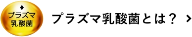 プラズマ乳酸菌とは？