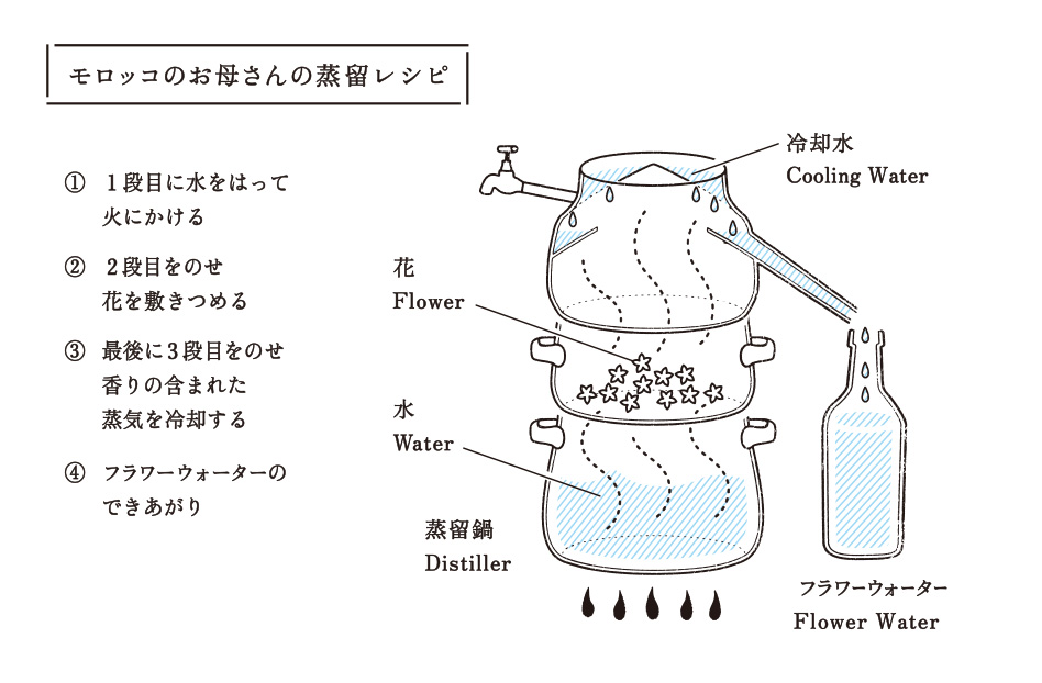 モロッコ マラケシュ｜旅の取材記｜キリン