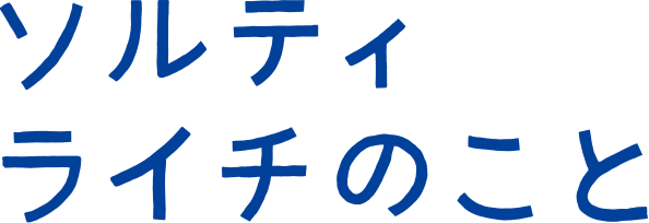 ソルティライチのこと