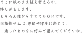 そこに根のまま植え替えるか、挿し芽をします。もちろん種から育ててもOKです。※植物や土は、季節や環境に応じて、適したものをお好みで選んでくださいね。