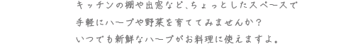 キッチンの棚や出窓など、ちょっとしたスペースで手軽にハーブや野菜を育ててみませんか？いつでも新鮮なハーブがお料理に使えますよ。
