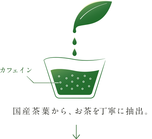 国産茶葉から、お茶を丁寧に抽出。
