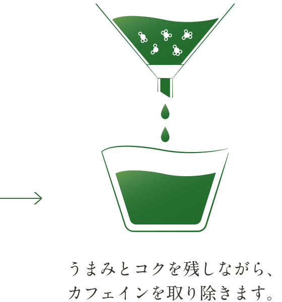 うまみとコクを残しながら、カフェインを取り除きます。