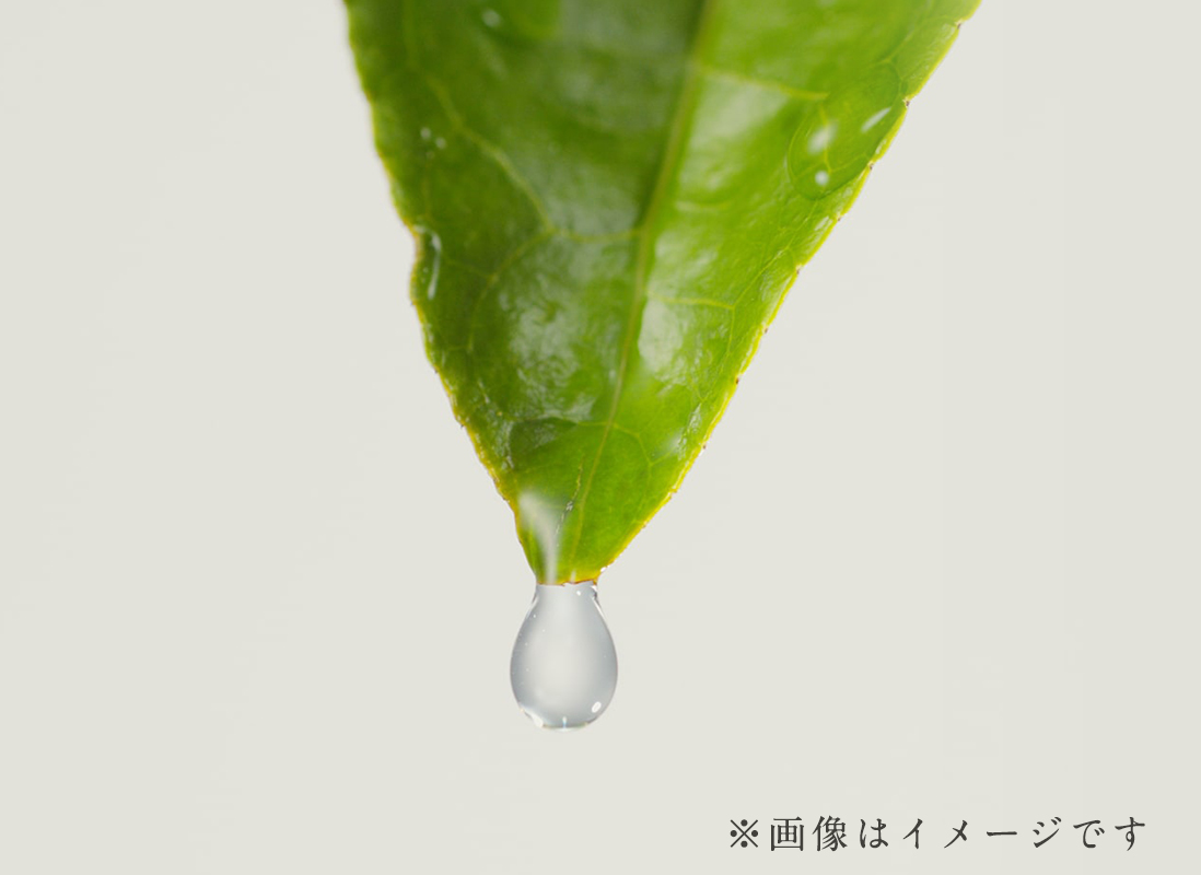 ※画像はイメージです