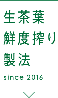 生茶葉鮮度搾り製法 since 2016