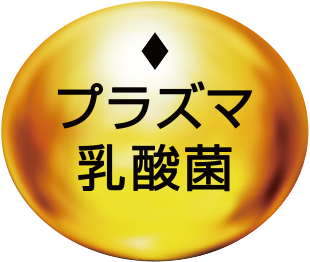 プラズマ乳酸菌