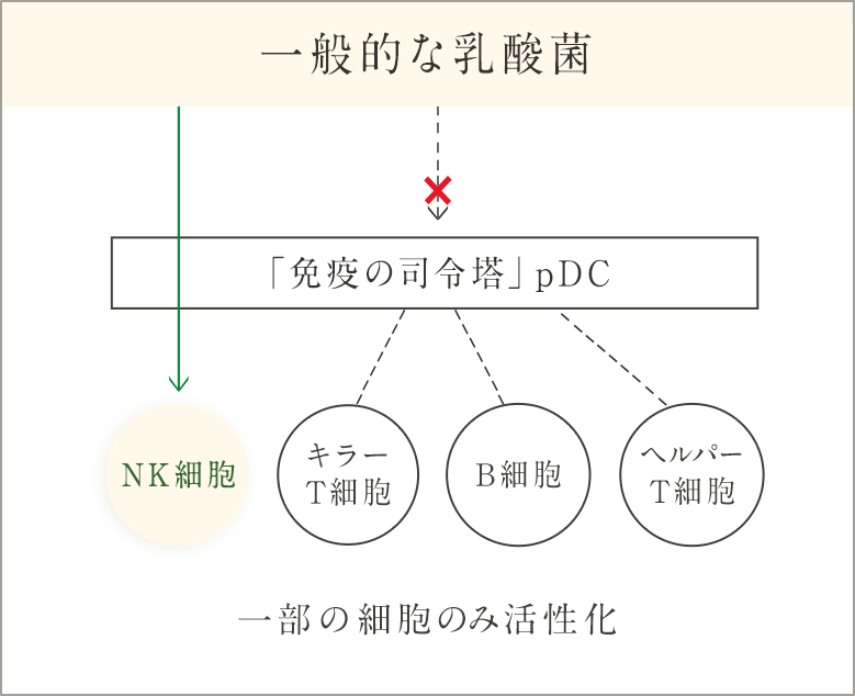 一般的な乳酸菌が一部の細胞のみ活性化するのを示したイメージ