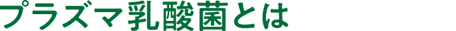 プラズマ乳酸菌とは