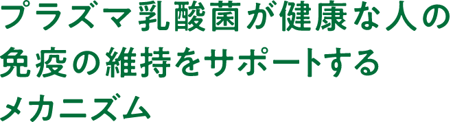 プラズマ乳酸菌が健康な人の免疫の維持をサポートするメカニズム