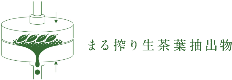 まる搾り生茶葉抽出物