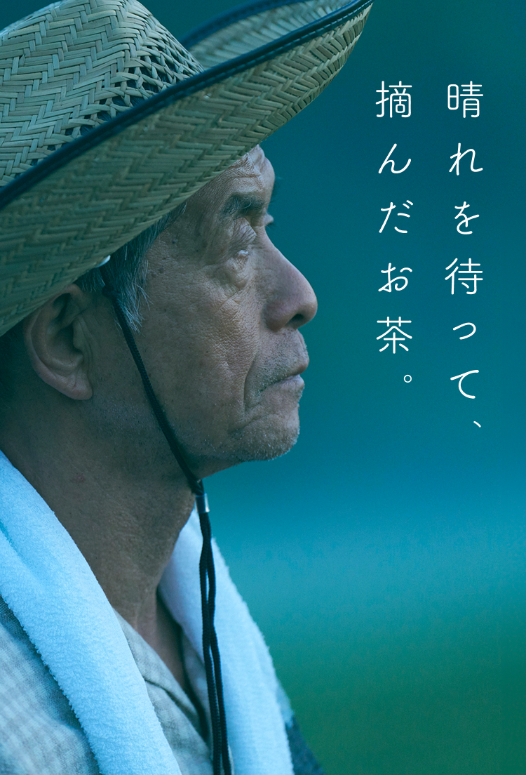 晴れを待って、摘んだお茶。