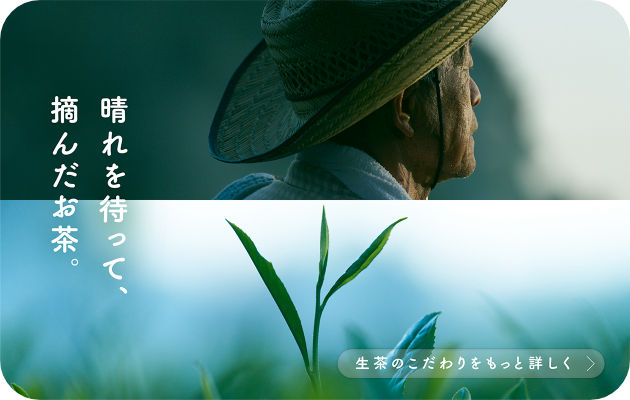 晴れを待って、摘んだお茶。生茶のこだわりをもっと詳しく